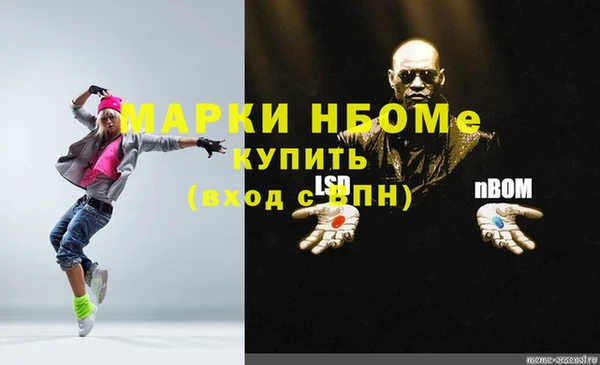 ПСИЛОЦИБИНОВЫЕ ГРИБЫ Богданович