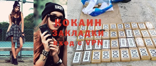 ПСИЛОЦИБИНОВЫЕ ГРИБЫ Богданович