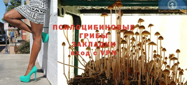 ПСИЛОЦИБИНОВЫЕ ГРИБЫ Богданович