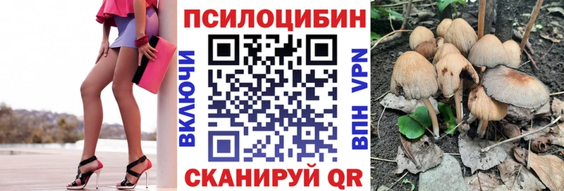 Псилоцибиновые грибы GOLDEN TEACHER  гидра зеркало  Новочебоксарск 